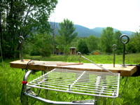 The Springboard